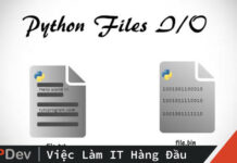 File I/O trong Python