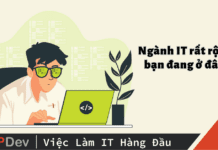 Ngành IT rất rộng, bạn đang ở đâu?