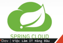 Code ví dụ Spring Cloud Config Server